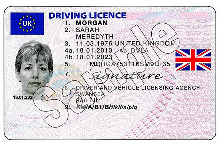 Driver License